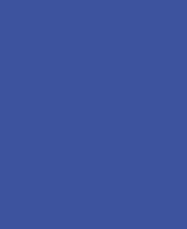 VP- 5004 BLUE