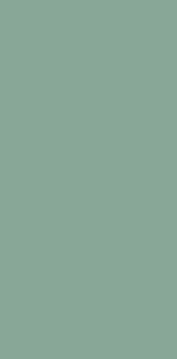 VP- 5011 MINT