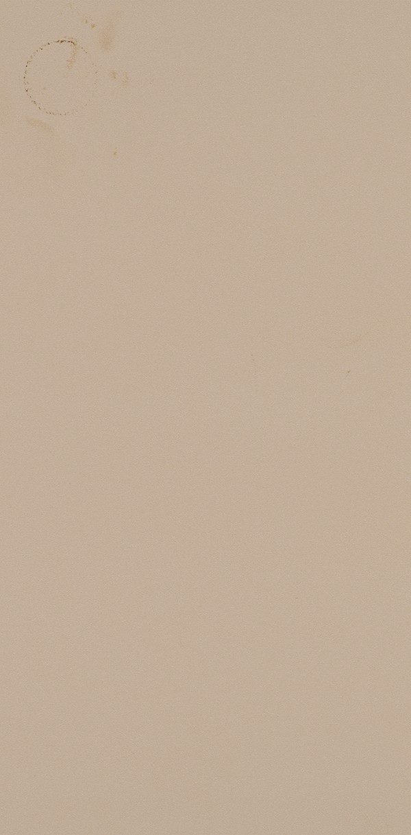 VP- 5014 IRISH CREAM